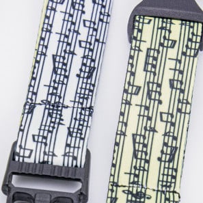 Lanyard profe, música