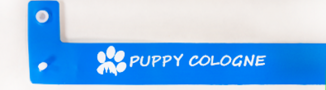 Sí! Necesito personalización (1+0). - +10,000 € (+12,100 € Impuestos incluidos)